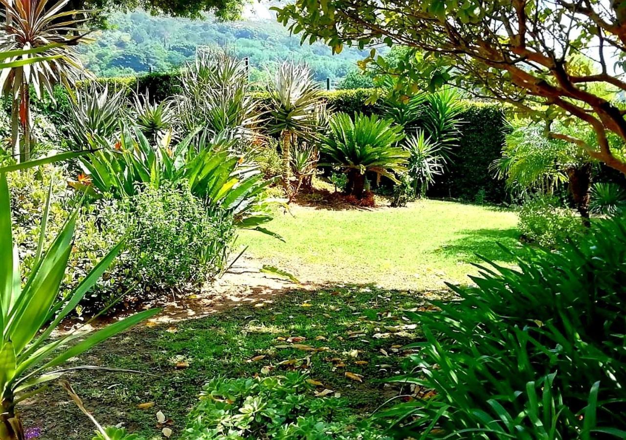 De Wingerd Wijnland Lodge Paarl Exterior photo